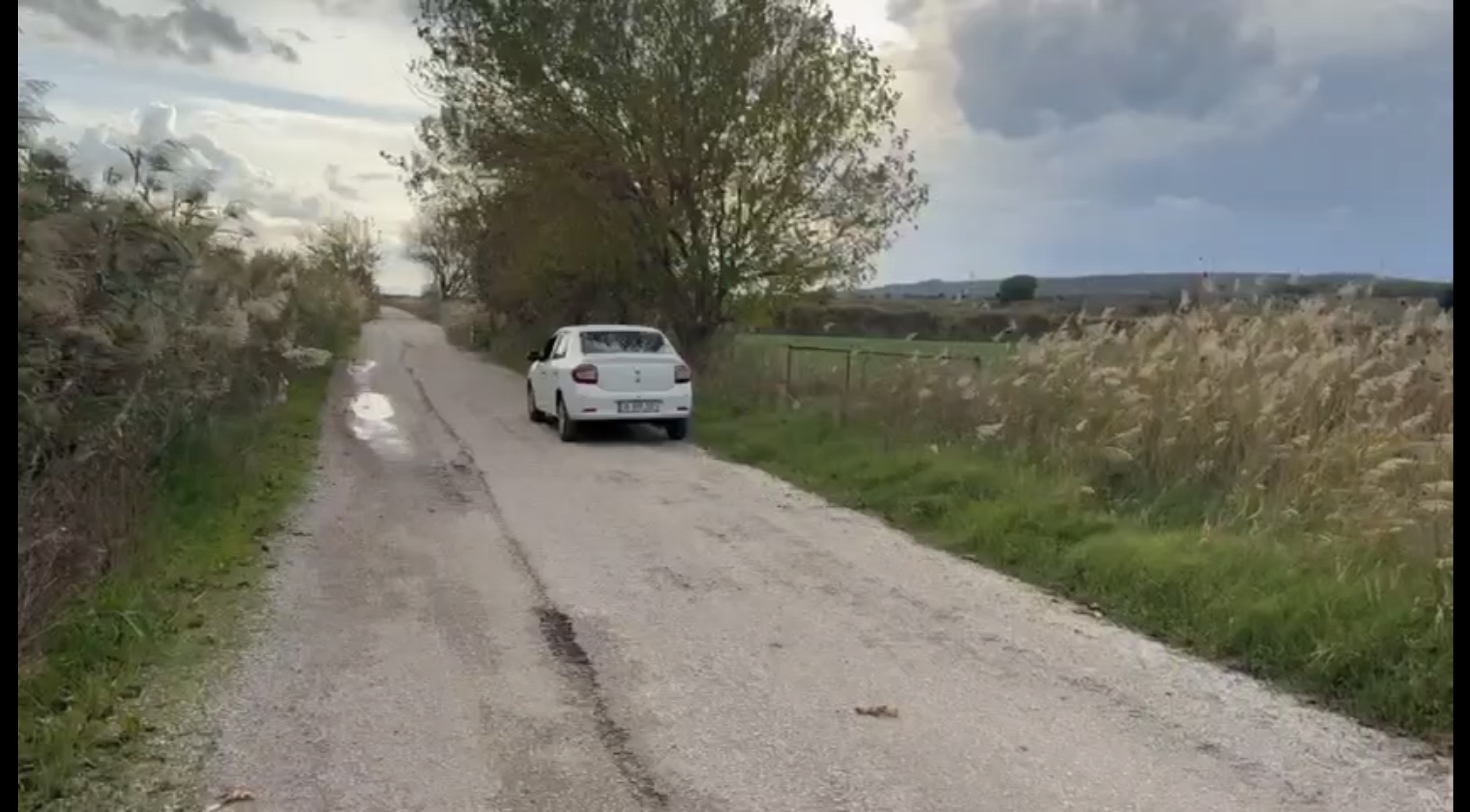 Foça Yenibağarası SATILIK TARLA